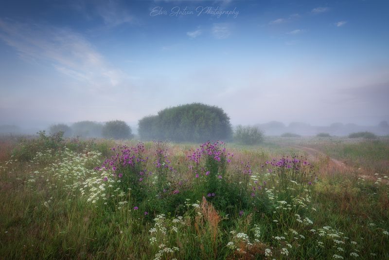 пейзаж, природа, кологрив «Июль – макушка лета, серёдка цвета».photo preview
