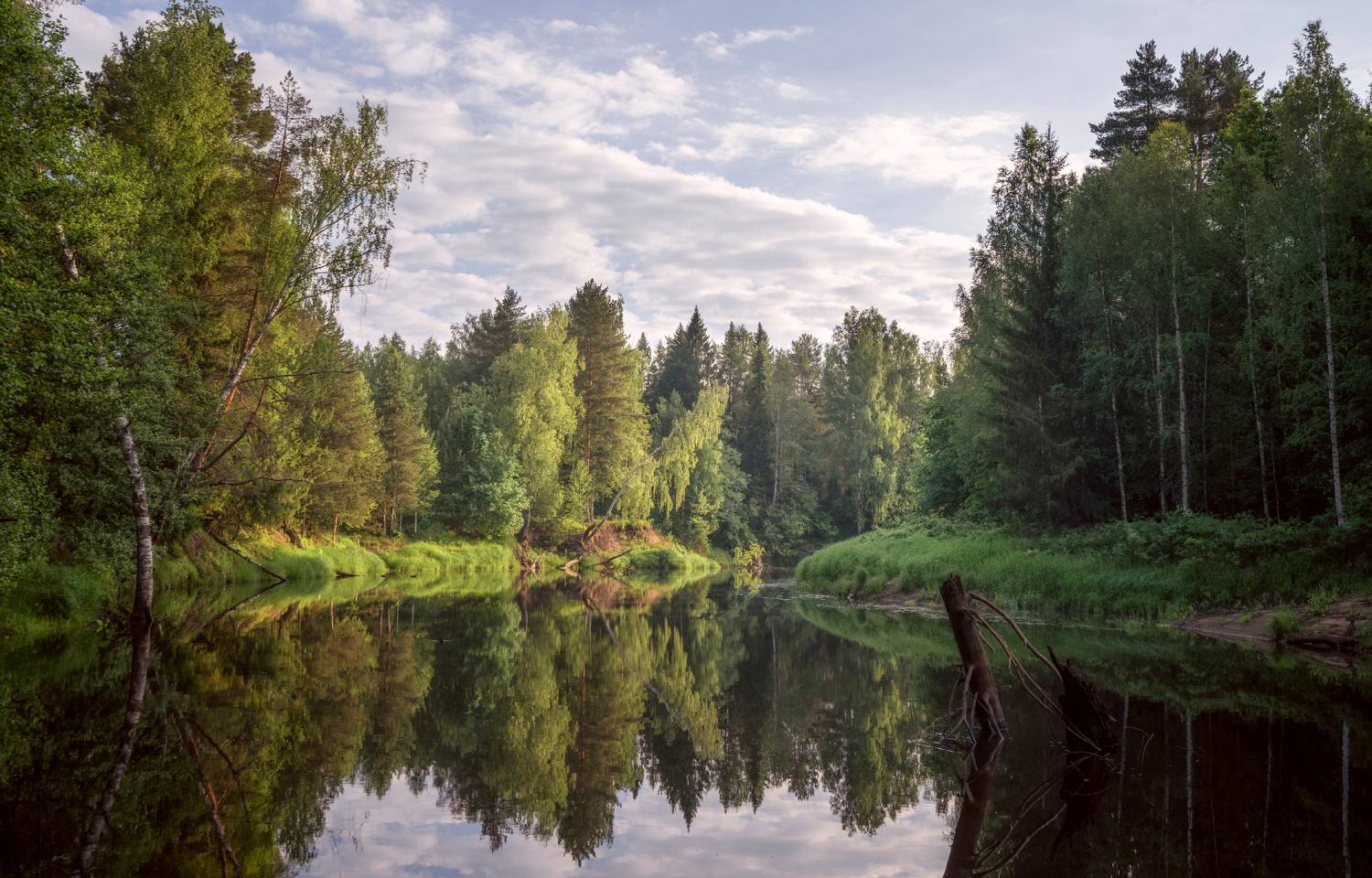 Керженец. Автор: Колесов Андрей лето река лес, Колесов Андрей