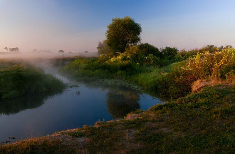 воронеж, усманка, боровое, утро, река, летний пейзаж, туман над рекой, туман photo preview