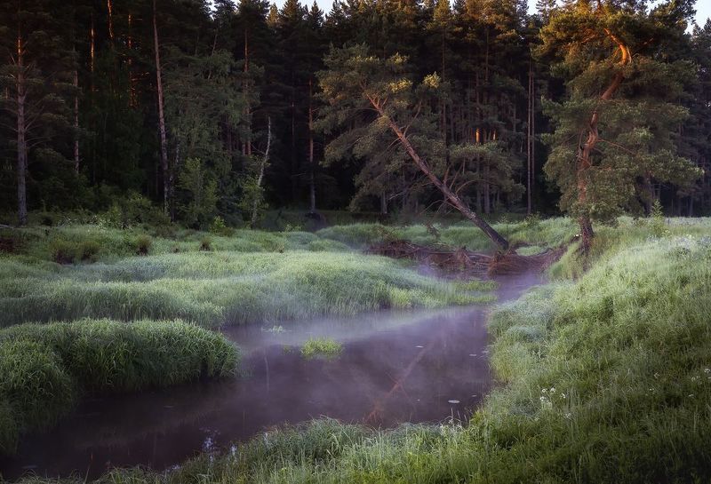 лето, рассвет, речка. пейзаж, туман над водой photo preview