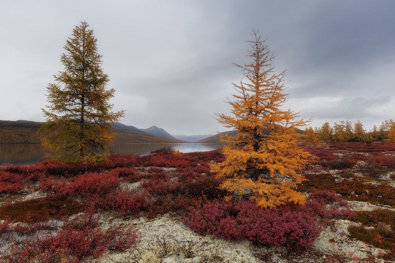 Озеро Джека Лондонаphoto preview