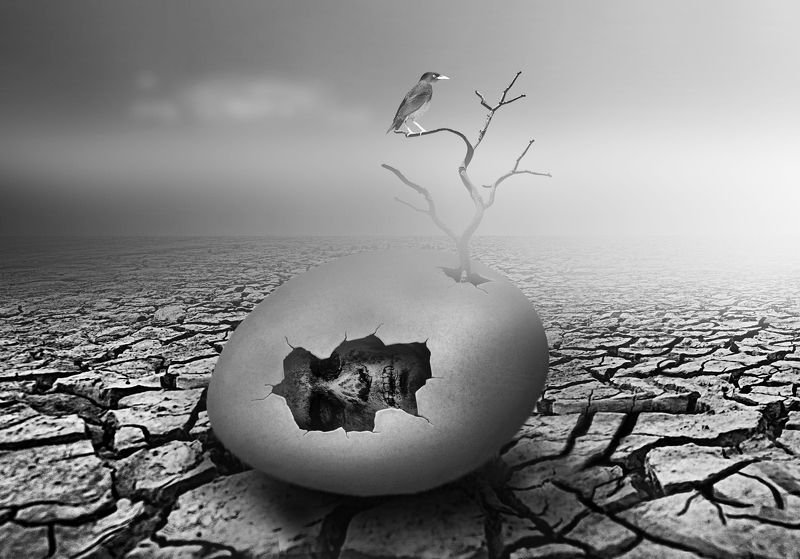 The Darkness Regimephoto preview