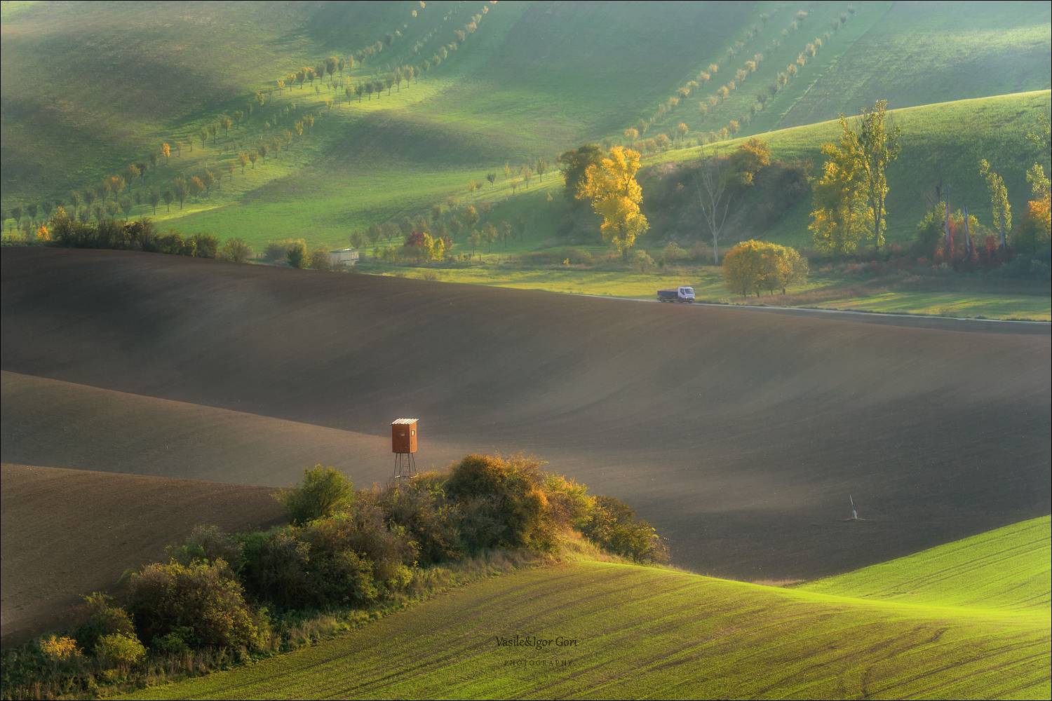 южная моравия,пейзаж,линии,south moravian,lines,свет,czech,осень,чехия,landscapes,green,nature, Гори Василий