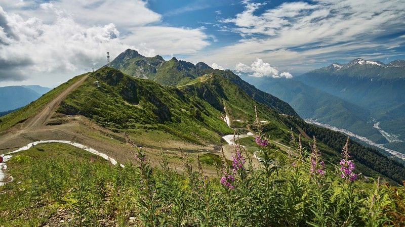 Альпика. Сочи.photo preview