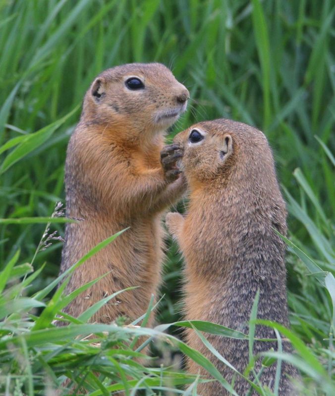 Разборкаphoto preview