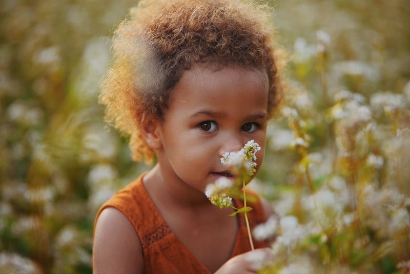 цветы, поле, девочка, ребенок, kids photo preview
