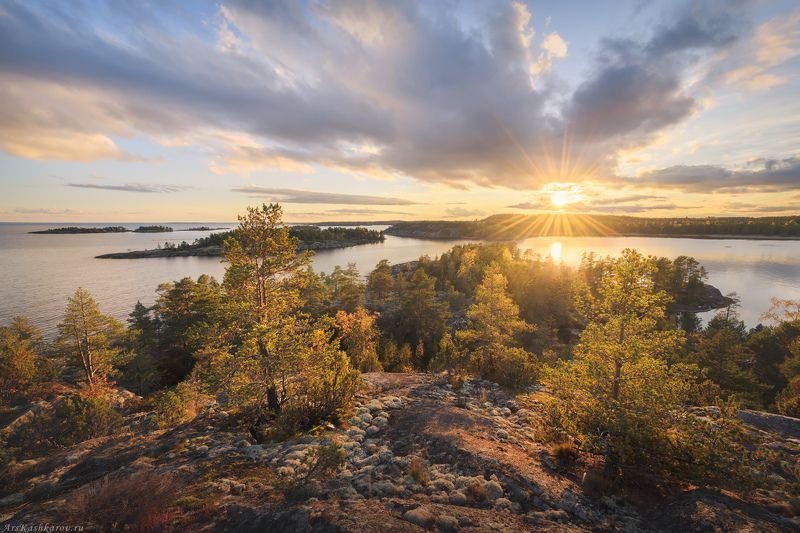 ладога, ладожские шхеры, карелия, северное приладожье, скалистые острова, сосны, золотая осень, каменный пляж, луды \