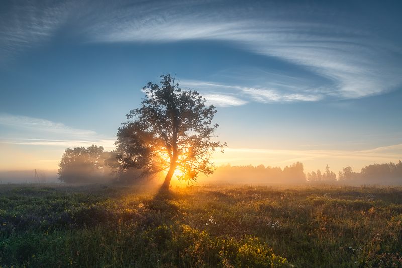 summer freshphoto preview