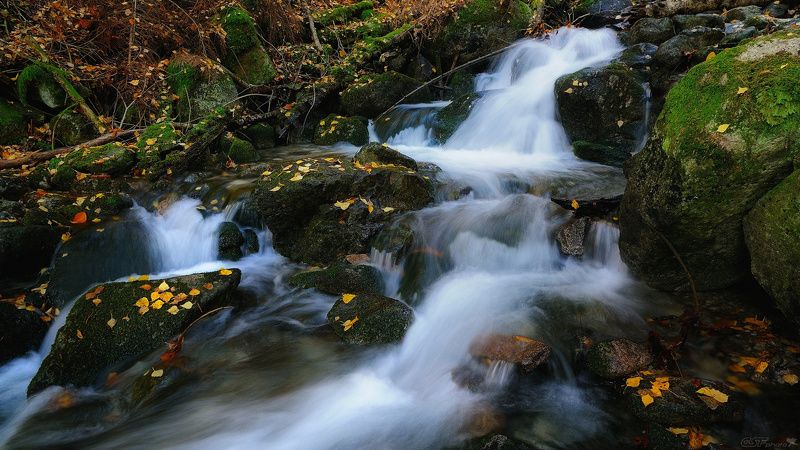 осень горы река природа лес пейзаж камни Лесные реки 7 фото превью