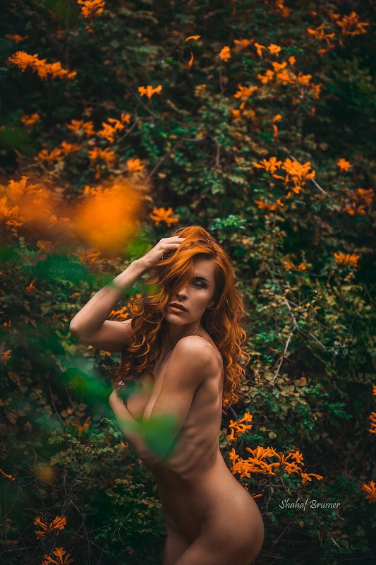 red, color, sexy, woman, girl, young, red head, feminine, sensual, boudoir, nude, flower Izabellephoto preview