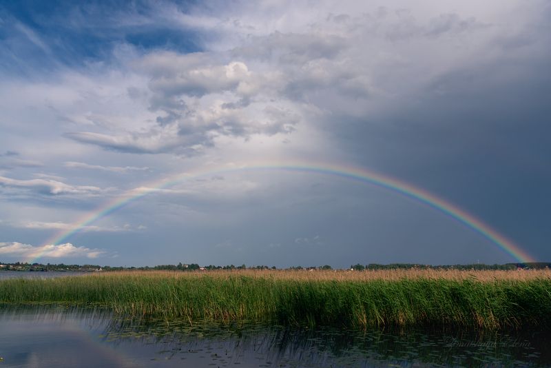*** после дождяphoto preview