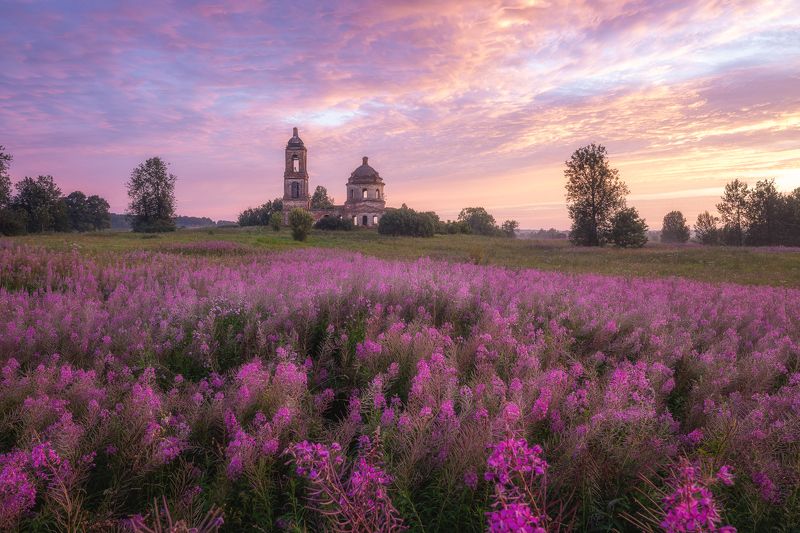 природа пейзаж церковь рассвет иван-чай Сезон Иван-чаяphoto preview