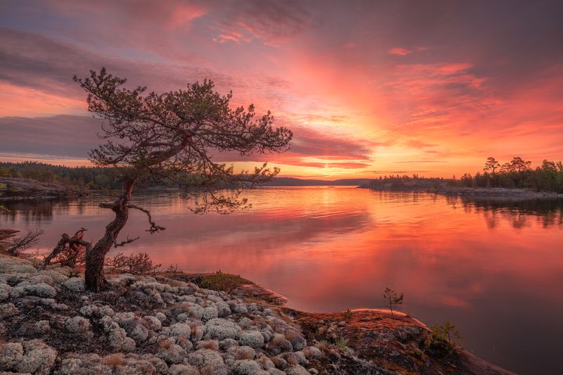 Ладога... Лето...photo preview