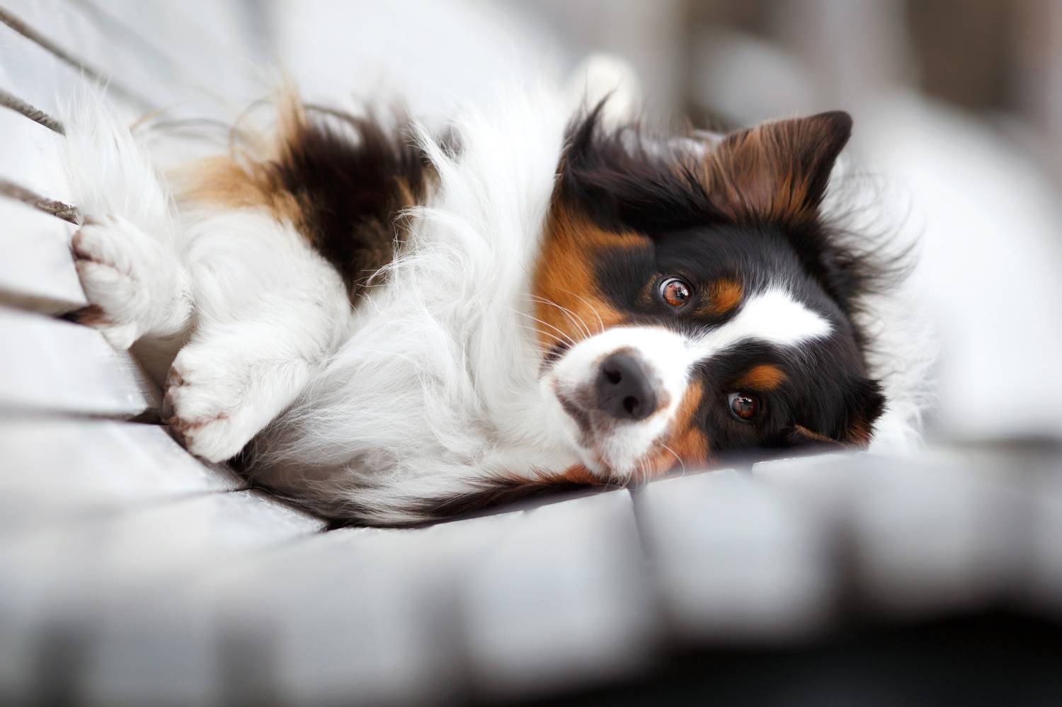 Автор: Евгения Костусева , Евгения Костусева