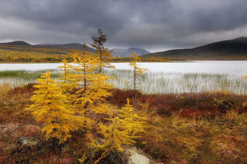 Озеро Джека Лондонаphoto preview