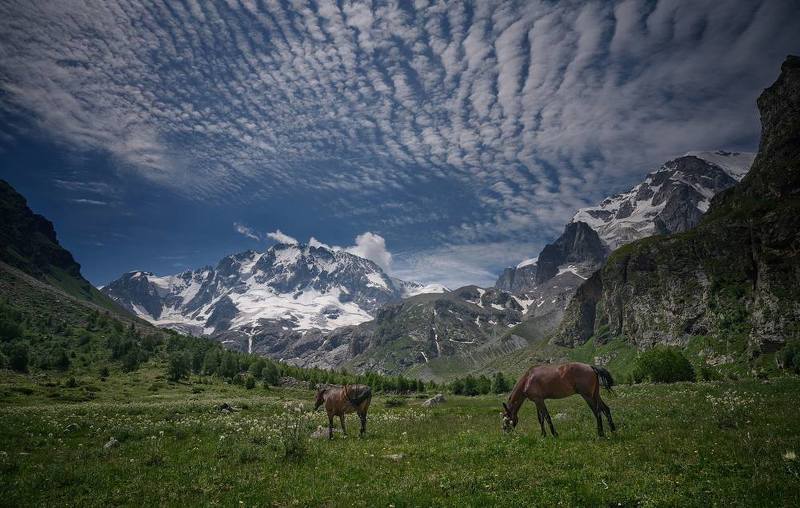 Уллу-Тау и Чегет-тау чанаphoto preview