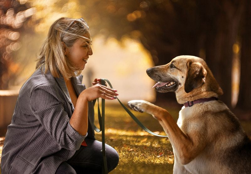 Лапки) фото превью