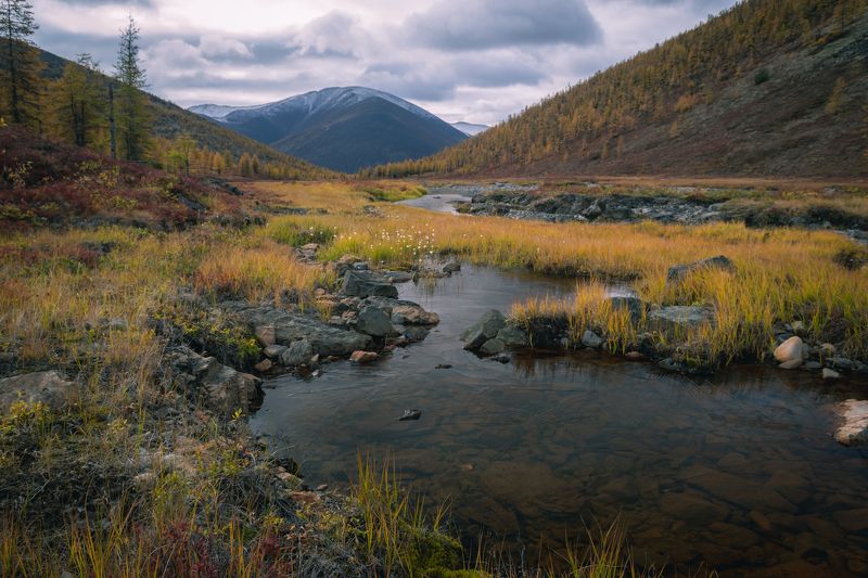 Первый лёдphoto preview