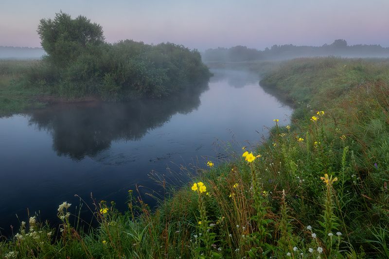 Нежное пробуждение природы.photo preview