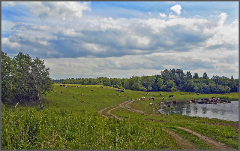 Пасторальphoto preview