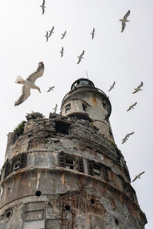 Обитель чаекphoto preview