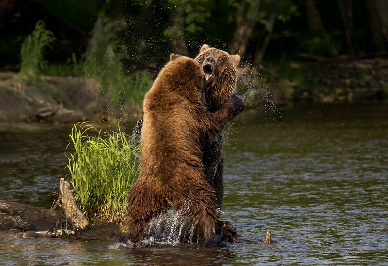 Соперникиphoto preview