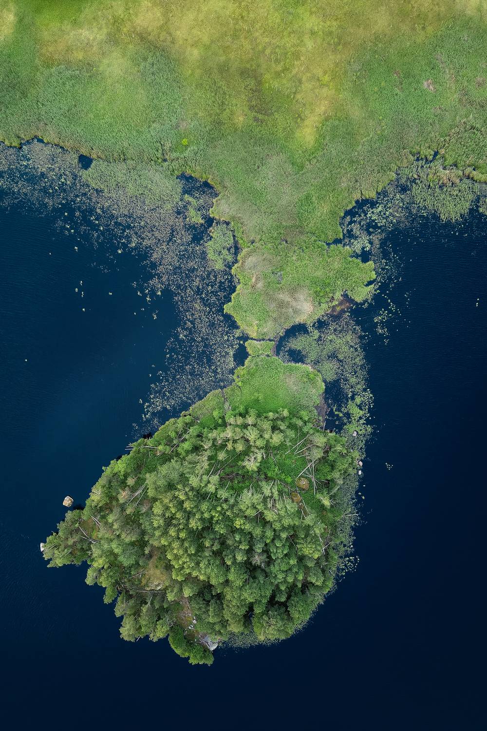 , Загруев Михаил