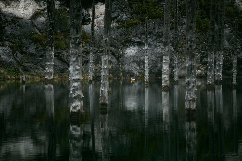 kazakhstan, landscape, lake, kaindy, duck ***photo preview