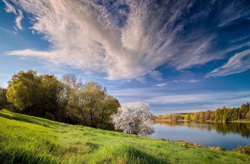 утро, весна, река, яблоня, Весна на берегу рекиphoto preview