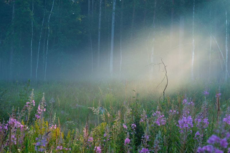 Калужская обл, Рыляки этюд светомphoto preview