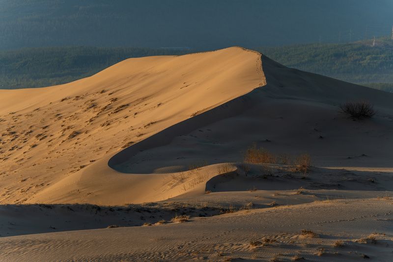чарские пески, пустыня, горы, кодар, дюны, закат, desert, mountains, kodar, dunes, sunset, sand photo preview