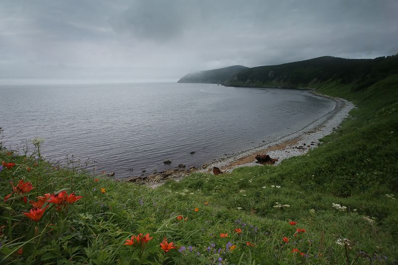 татарский пролив, дальний восток Бухта Базарнаяphoto preview
