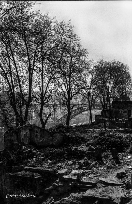 Black & White, Street Reportage City of Porto - Portugalphoto preview