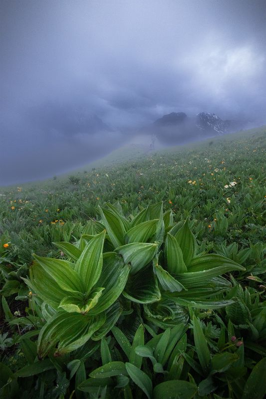 #осетия, #горы Из серии Осетияphoto preview