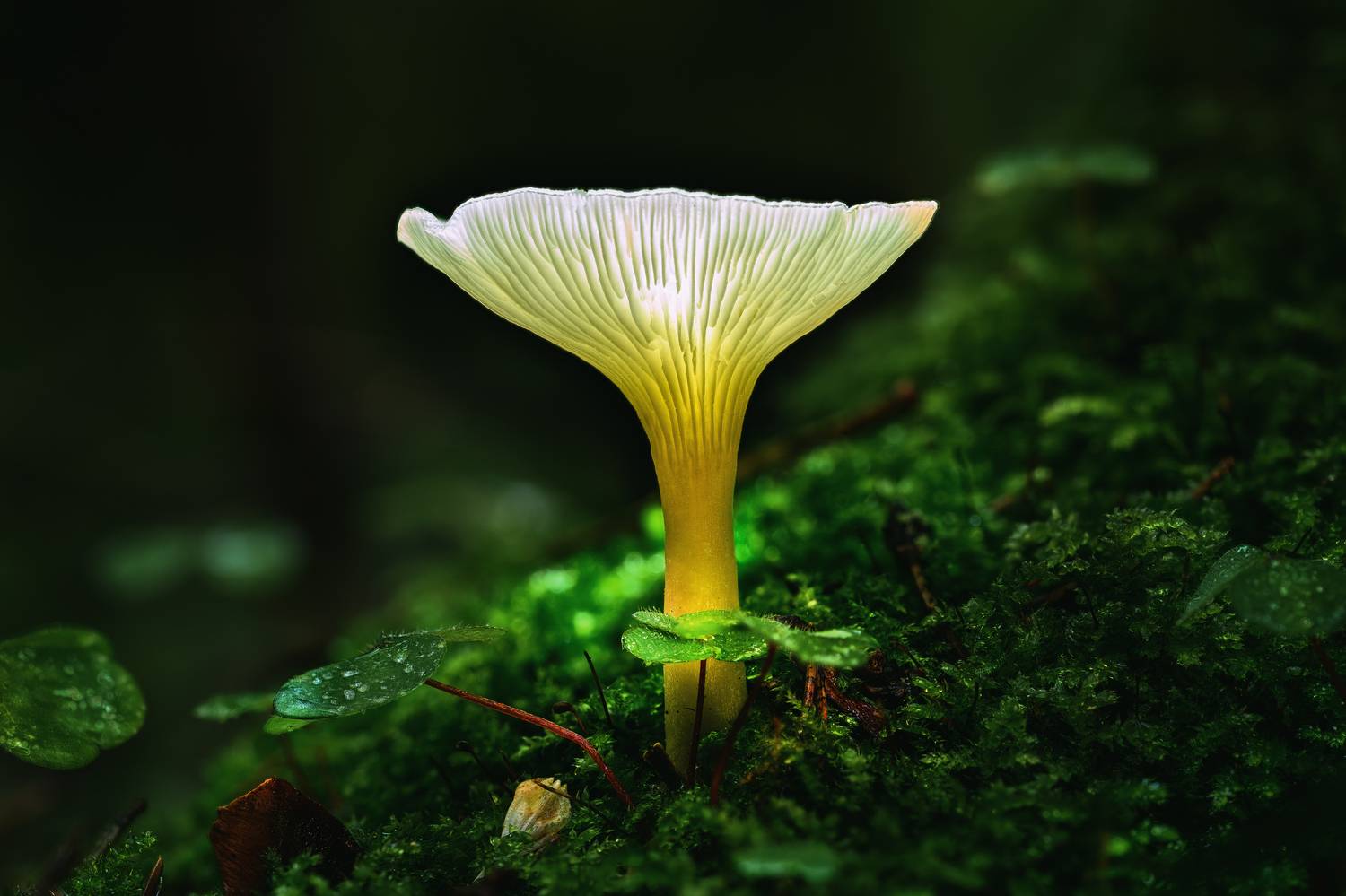 Автор: Нуждин Андрей , Нуждин Андрей