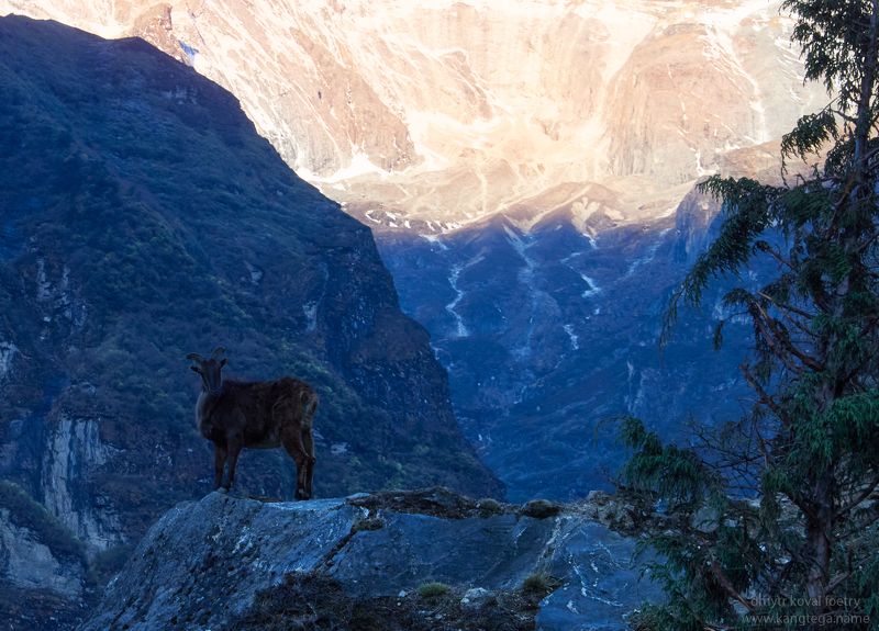 пейзажемагьё, пейзаж-как-виденье Рассветный дозорphoto preview