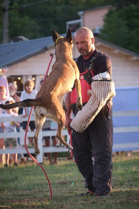 животные, собака, фото животных, фотограф-анималист, анималист Глаза в глазаphoto preview