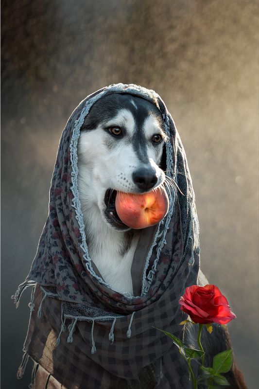 портрет с персикомphoto preview