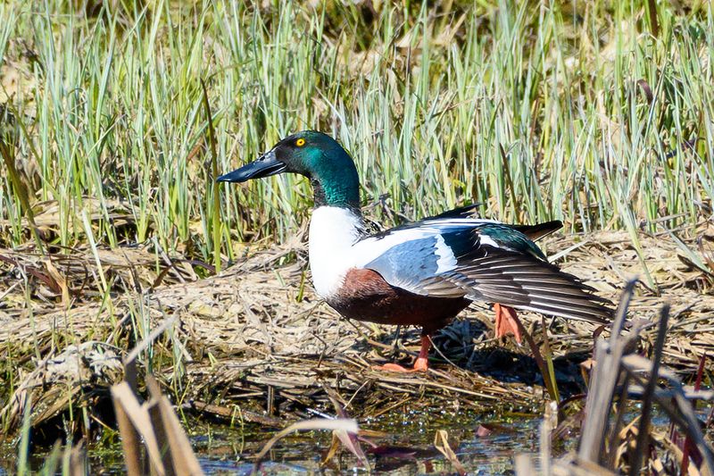 Утренняя гимнастикаphoto preview