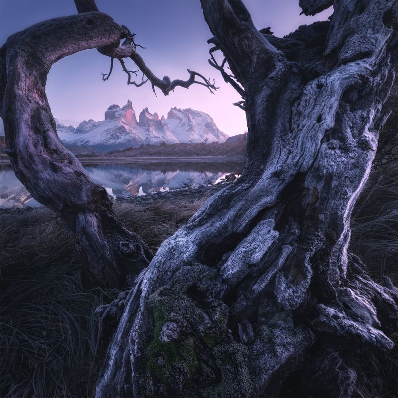 Торрес-дель-Пайне фото превью