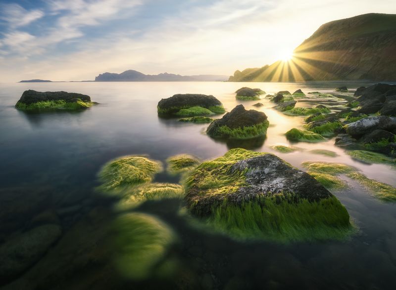 крым, море, закат, черное море, водоросли Камни и водорослиphoto preview