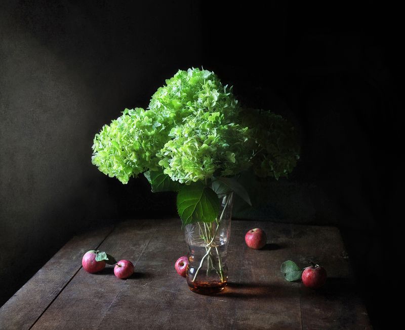 гортензия, яблоки, натюрморт  Две зрелости: зелёная и краснаяphoto preview