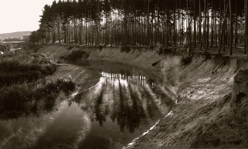 воронеж, усманка, боровое, утро, река, летний пейзаж, туман над рекой, туман photo preview