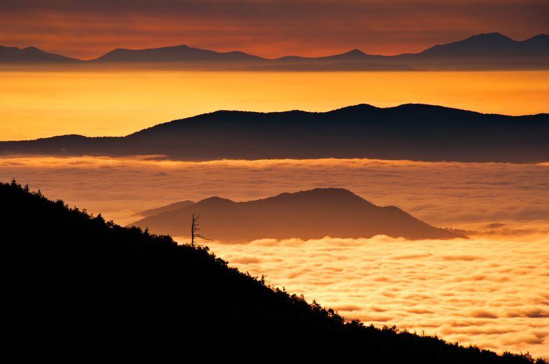 горы, море, сосны, туман, осень, приморье, паутина, камни, рассвет, папоротник Природа Приморского краяphoto preview