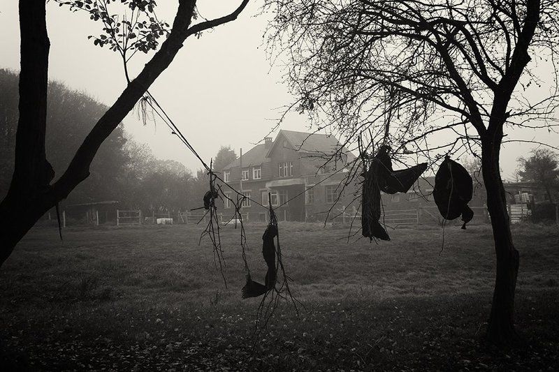 Ils avaient demandés le gite et le couvert pour la nuit...photo preview