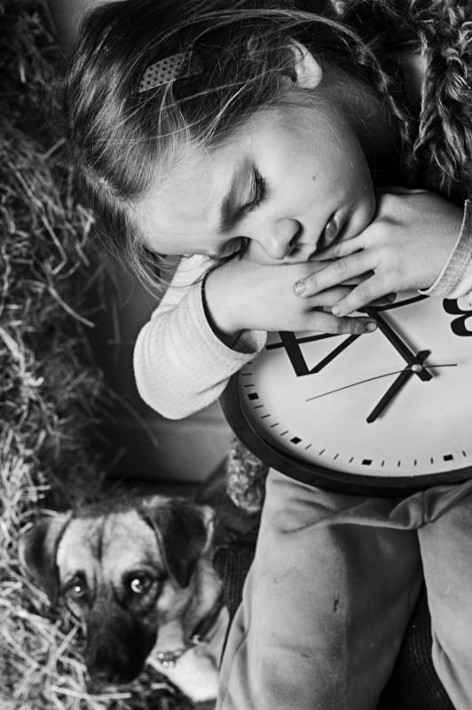 Новый жилецphoto preview