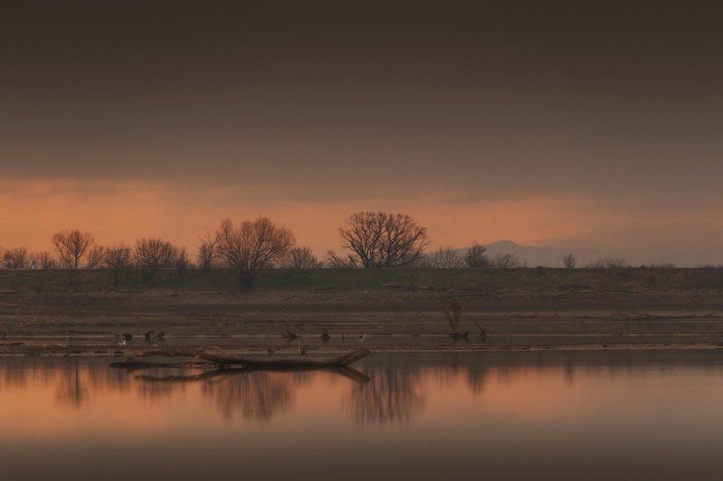 Далёко, далёко, на озере Чад..photo preview