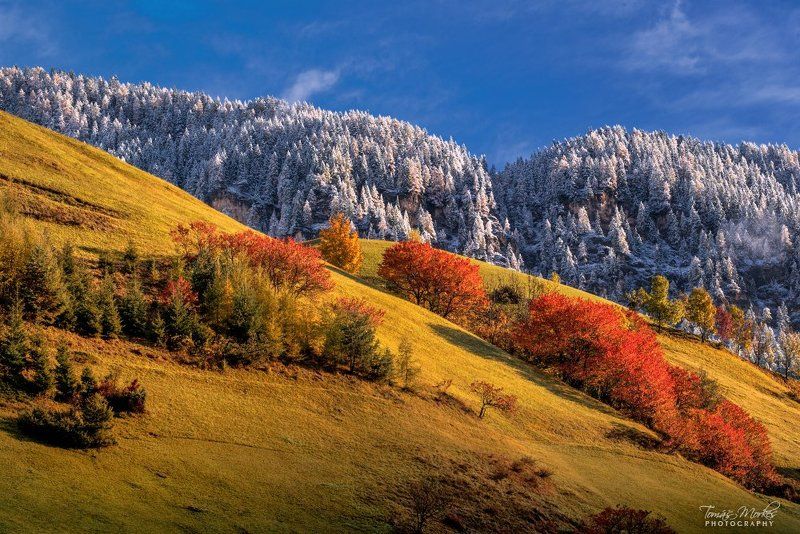 Dolomites, Alps, Italy, autumn, autumn colors, Alta Badia, snow, first snow, sun, clouds Autumn in the Dolomitesphoto preview