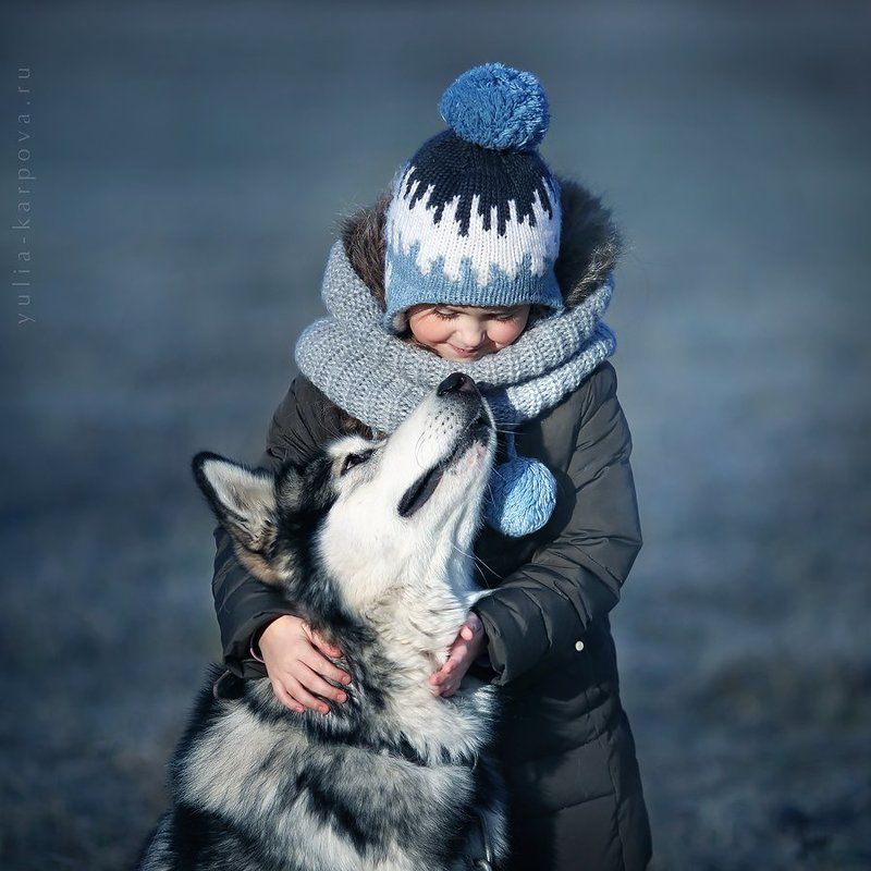 child, kid, friend, dog, malamute,   ***photo preview