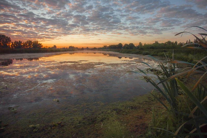 летнее и осеннееphoto preview